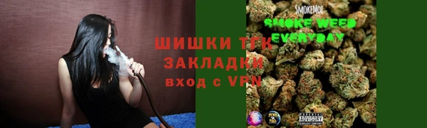 ГАЛЛЮЦИНОГЕННЫЕ ГРИБЫ Балабаново